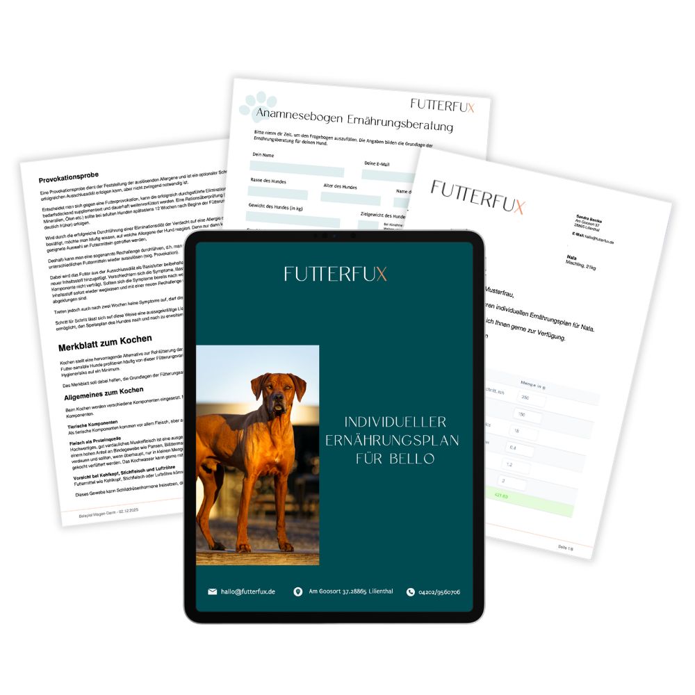 Individueller Hundeernährungsplan